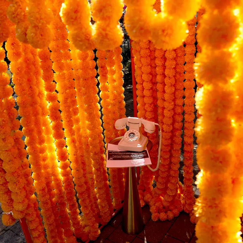 Telephone surrounded by marigolds where Muertos Fest visitors can leave messages for loved ones
